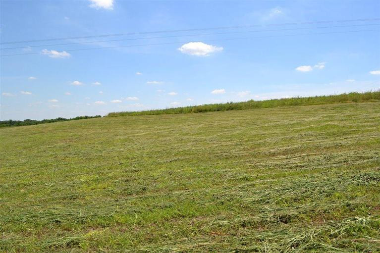 1600 Cummins Ferry Road Salvisa, KY 40372 - Photo 1 of 1 Photo 1