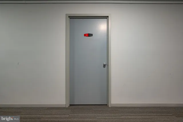 a view of a park with large trees