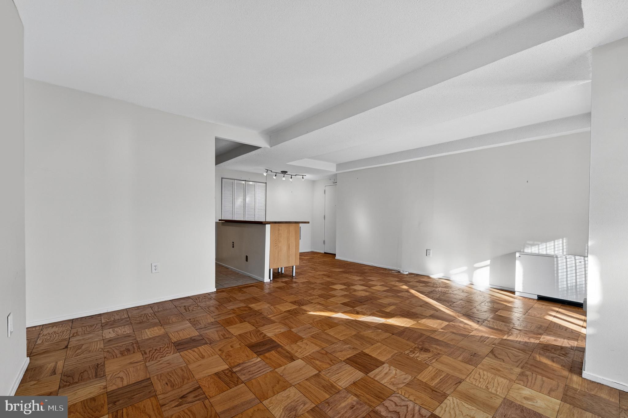 1311 Delaware Avenue Southwest, Unit S231 Washington, DC 20024 - Photo 8 of 74 a view of a livingroom with wooden floor and a fireplace