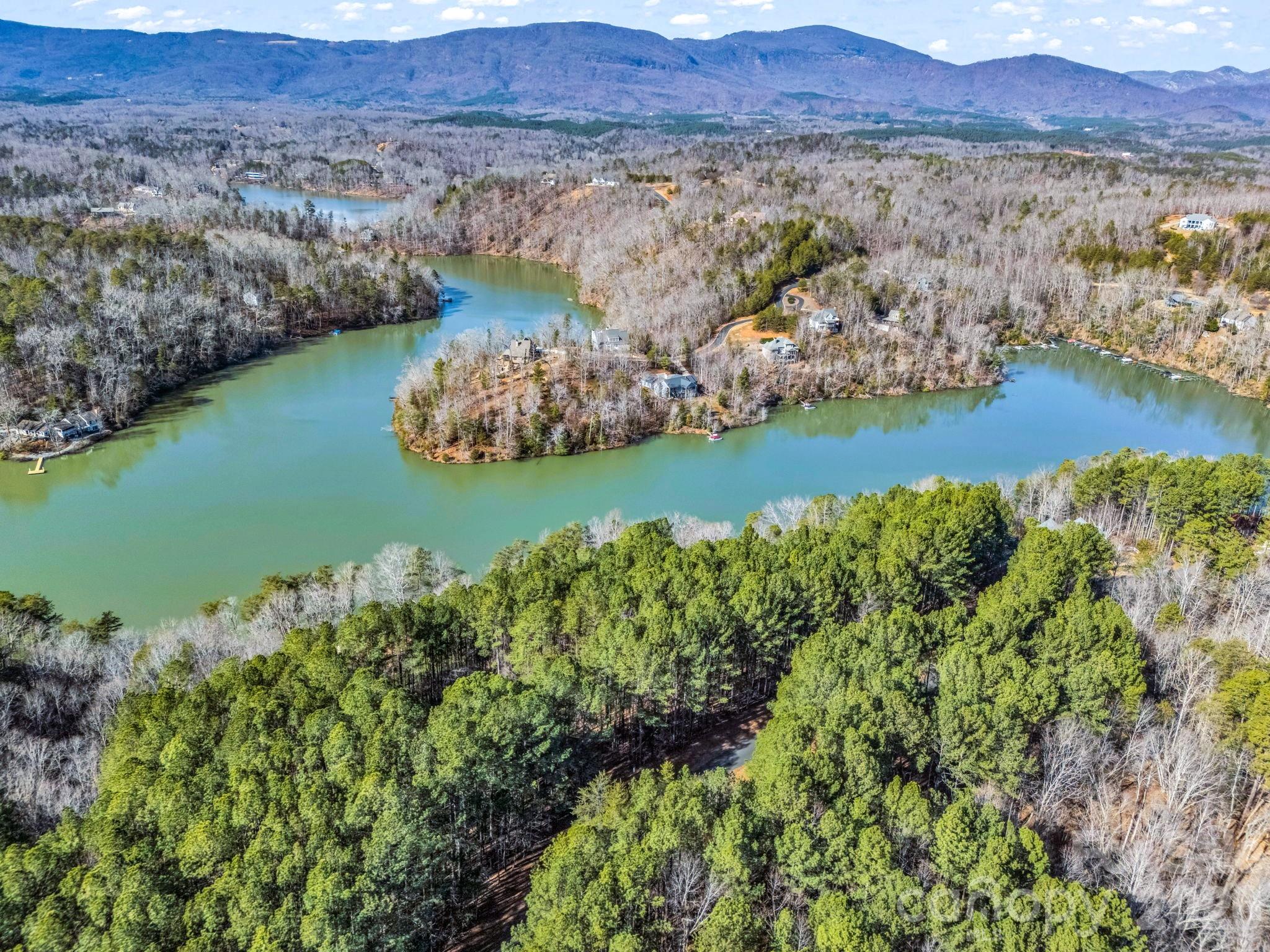0 Hawk Ridge Drive, Unit 8 Mill Spring, NC 28756 - Photo 15 of 15 a view of a lake with a mountain and trees in the background
