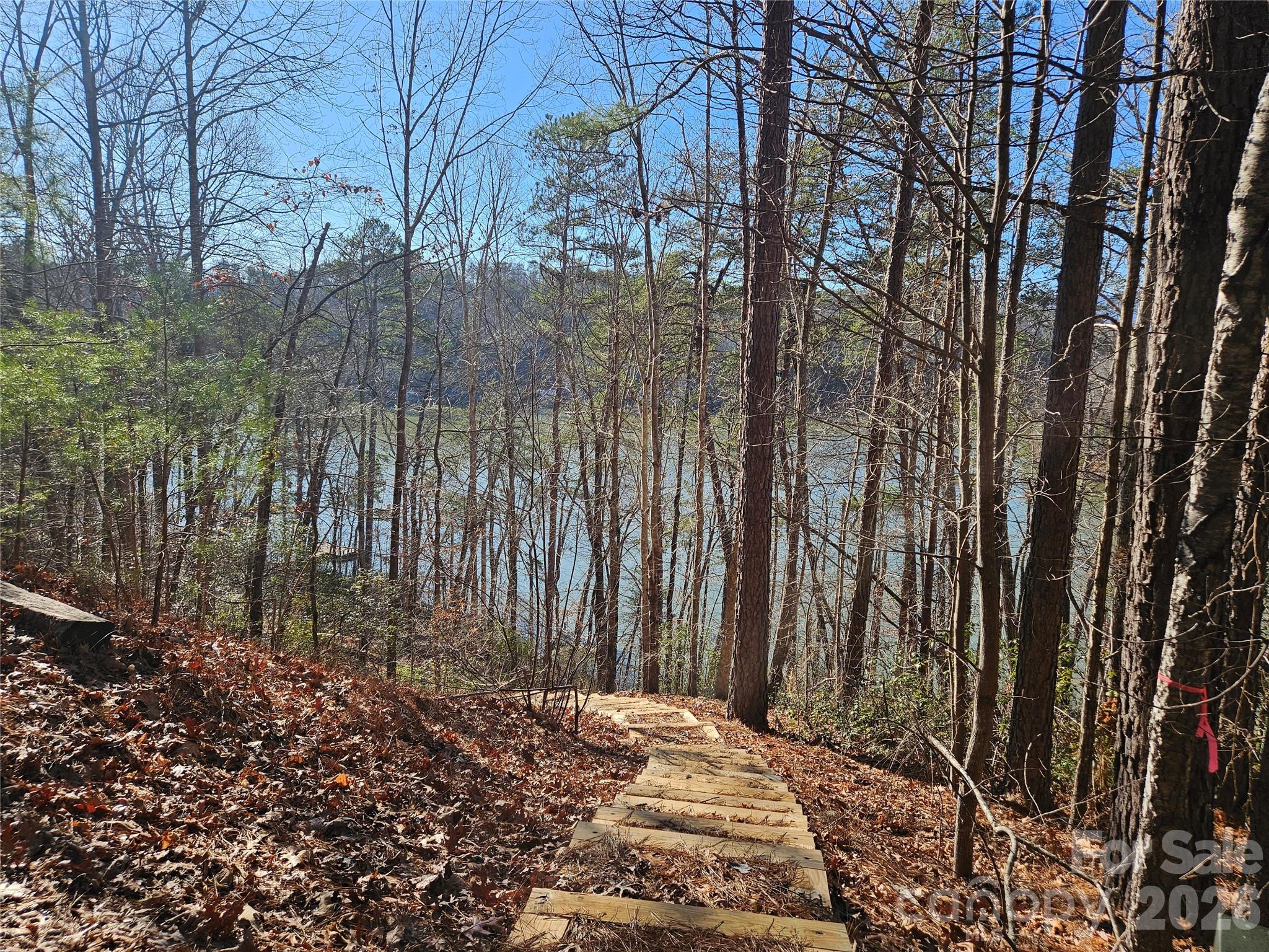 0 Hawk Ridge Drive, Unit 8 Mill Spring, NC 28756 - Photo 5 of 15 a view of backyard with green space