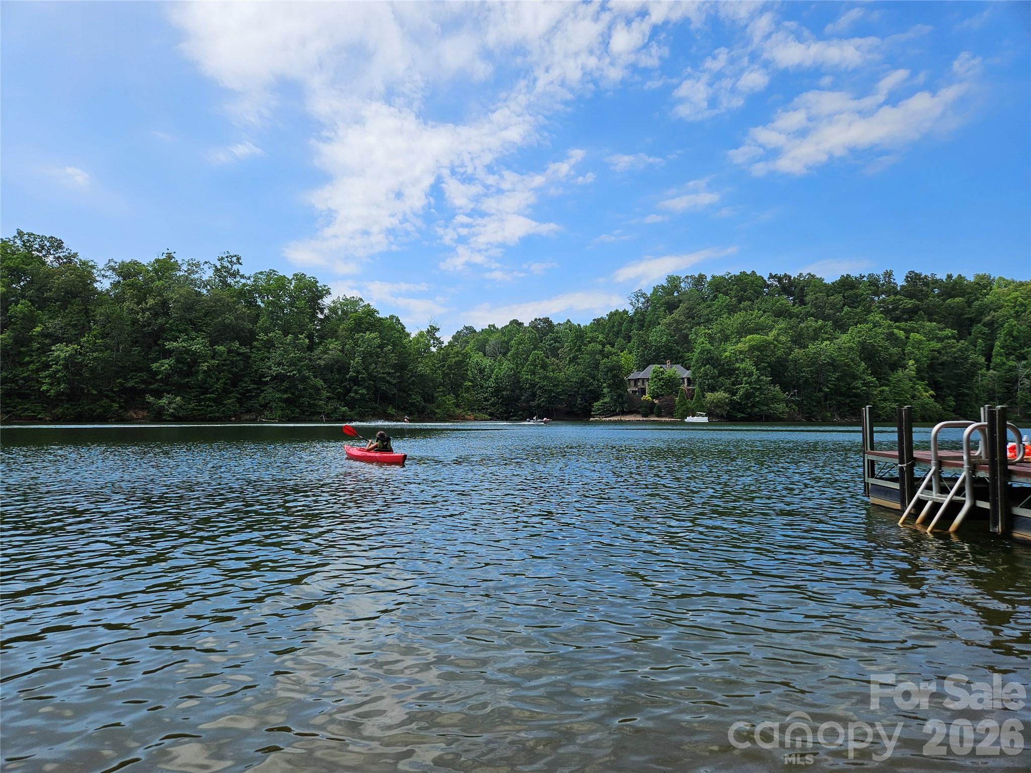 0 Hawk Ridge Drive, Unit 8 Mill Spring, NC 28756 - Photo 6 of 15 a view of outdoor space