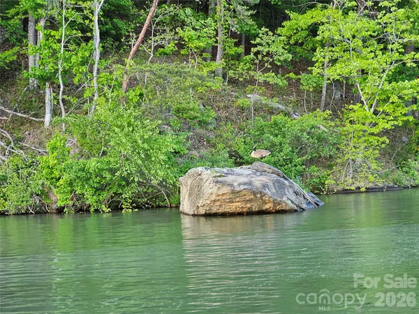 a view of a lake with houses