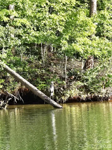 $245,000 | 0 Hawk Ridge Drive, Unit 8, Mill Spring, NC 28756