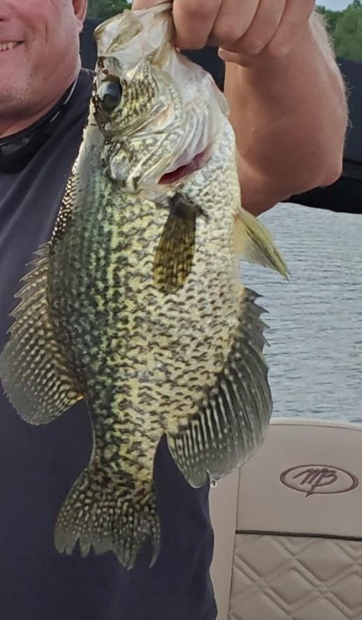 27686 Little Whitefish Road Garrison, MN 56450 - Photo 4 of 46