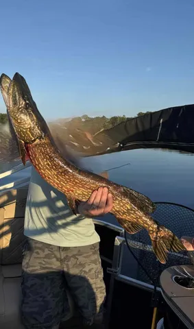 $489,900 | 27686 Little Whitefish Road, Garrison, MN 56450