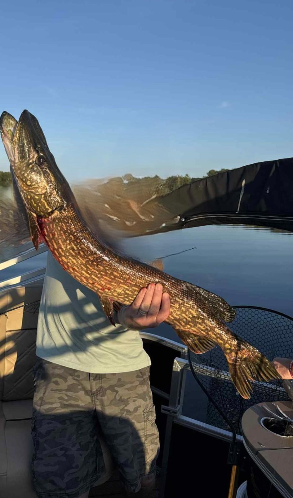 27686 Little Whitefish Road Garrison, MN 56450 - Photo 42 of 46