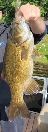 $489,900 | 27686 Little Whitefish Road, Garrison, MN 56450