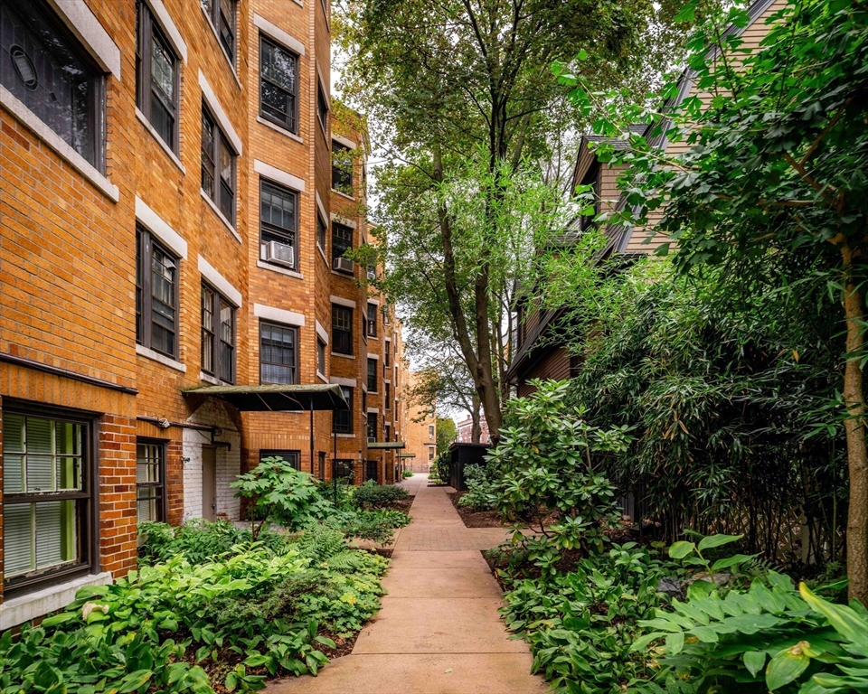 4 Newport Road, Unit 7 Cambridge, MA 02140 - Photo 28 of 31 a view of a building with a yard