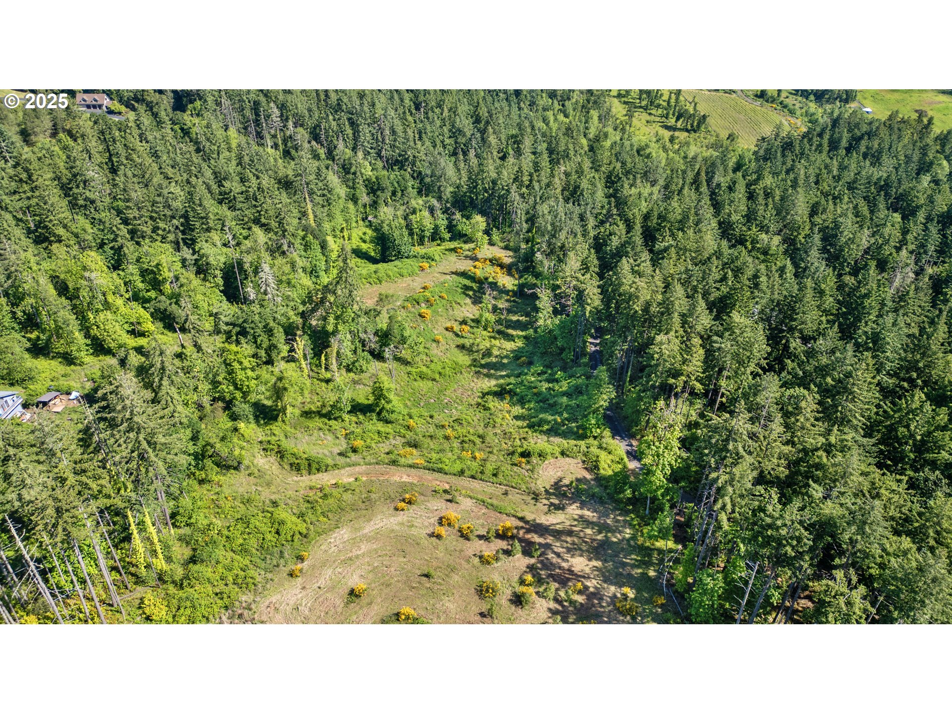 Spring Boulevard Eugene, OR 97405 - Photo 28 of 29