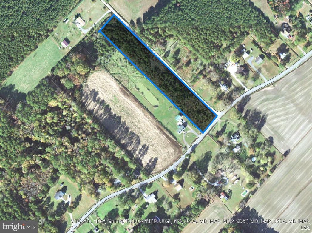 0 Jacksonville Road Crisfield, MD 21817 - Photo 2 of 15 a picture of trees