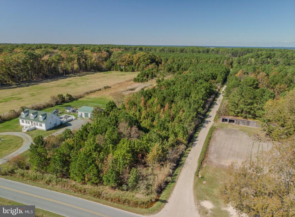 0 Jacksonville Road Crisfield, MD 21817 - Photo 3 of 15 a view of a yard with wooden fence