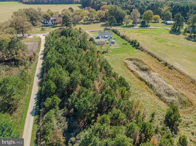 an aerial view of a houses with yard