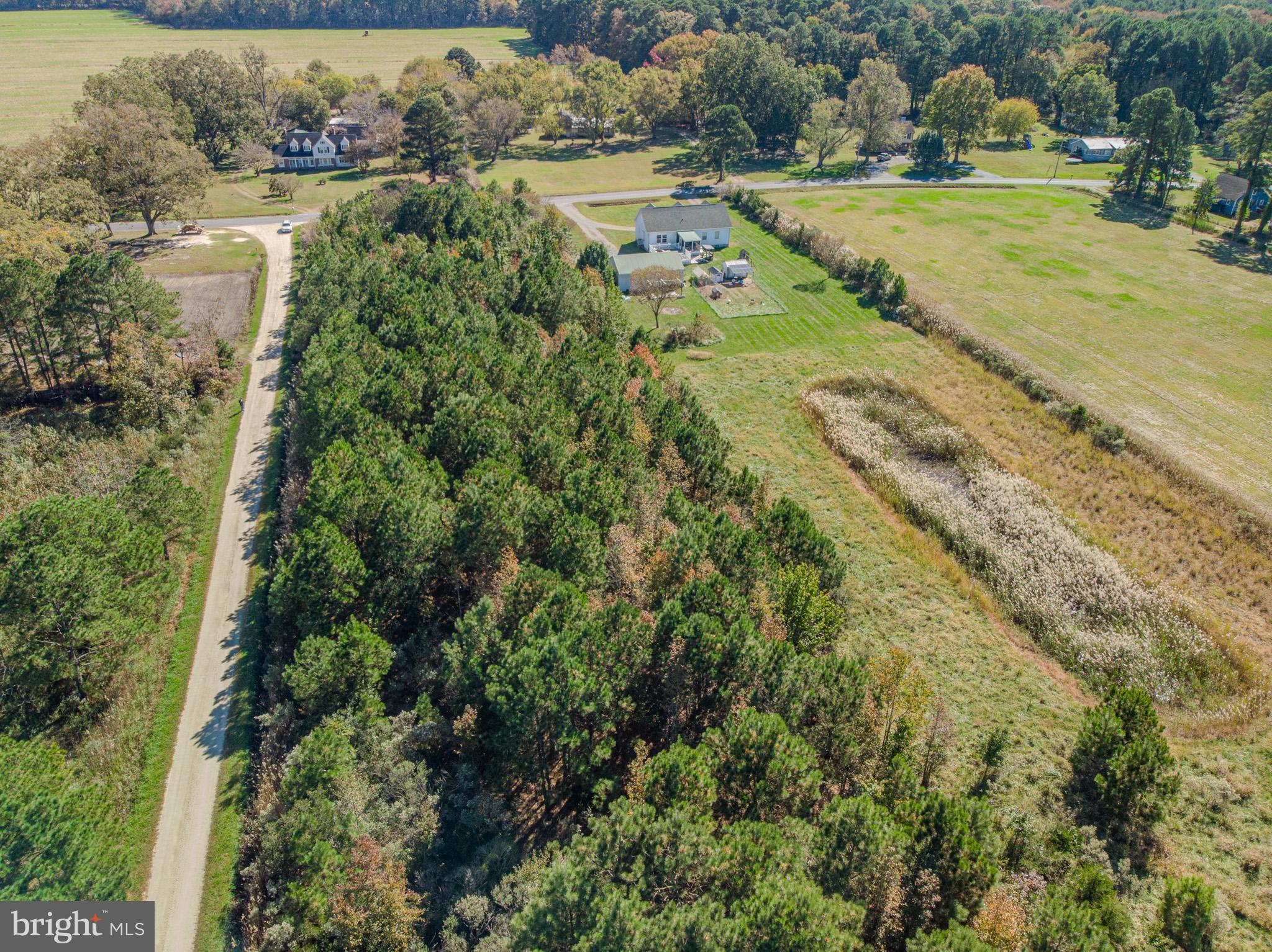 0 Jacksonville Road Crisfield, MD 21817 - Photo 6 of 15 an aerial view of a houses with yard
