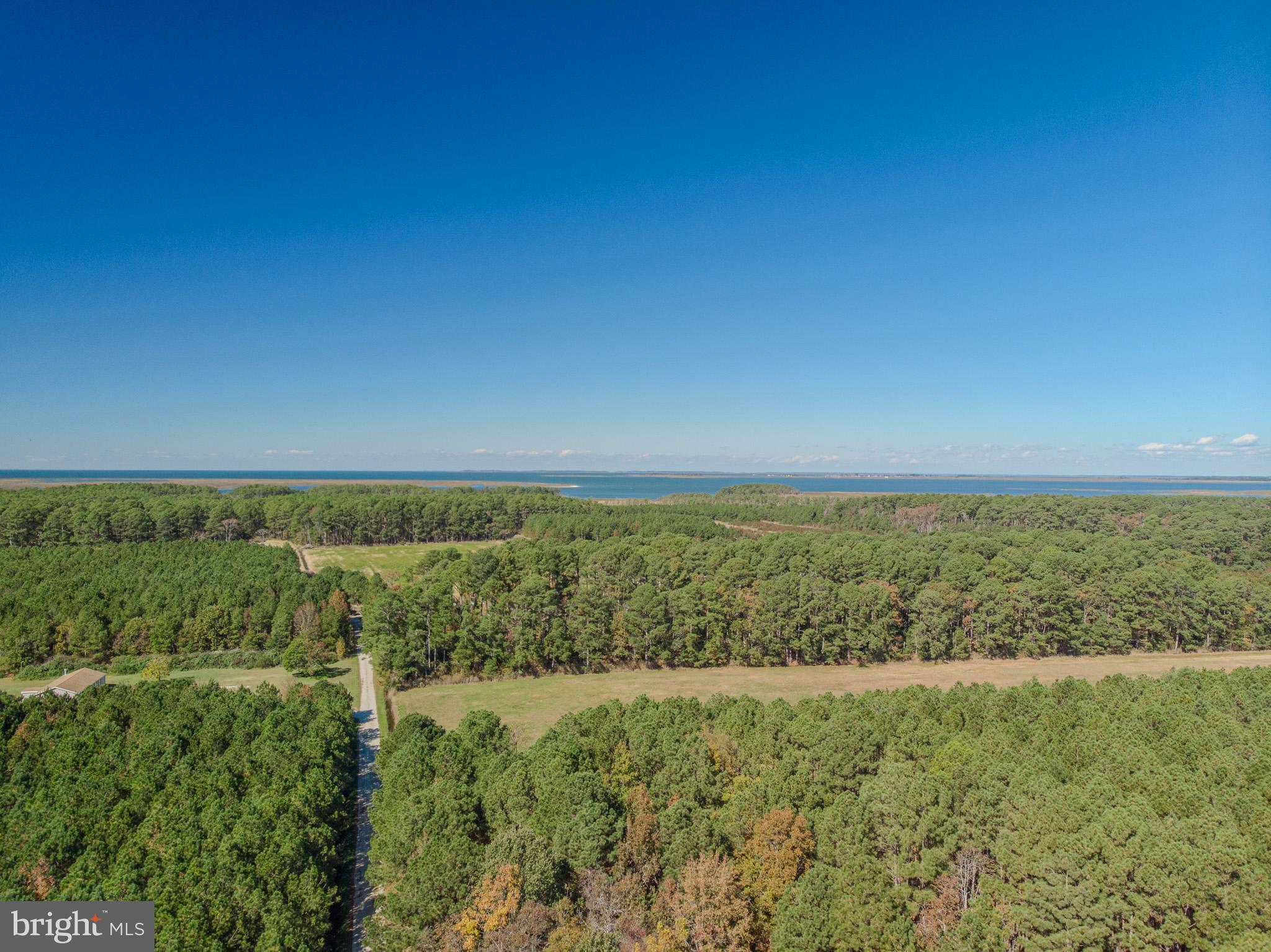 0 Jacksonville Road Crisfield, MD 21817 - Photo 7 of 15 a view of an outdoor space