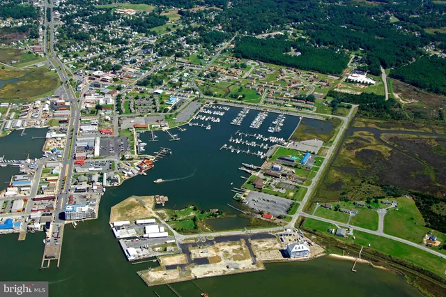 a view of a terrace with chairs