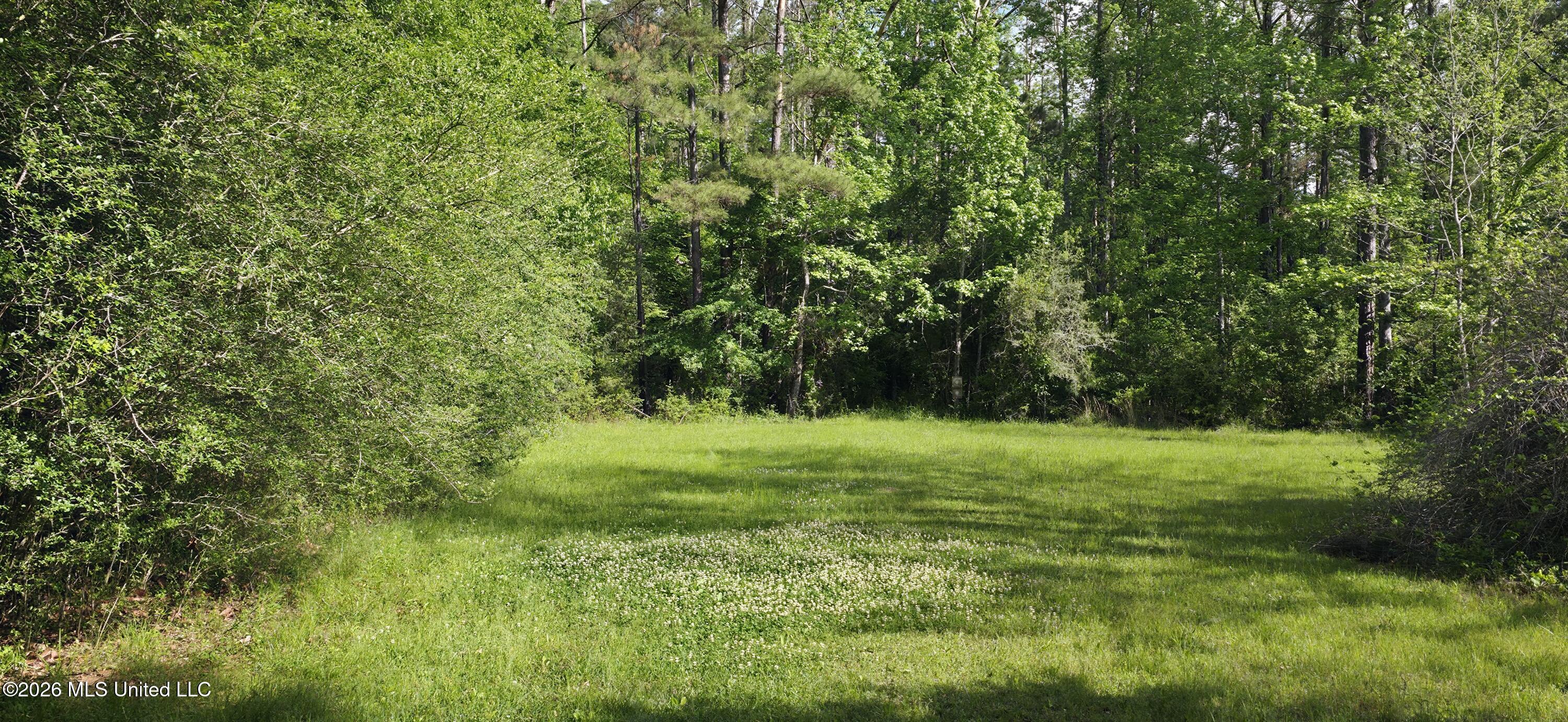 2014 Coldwater Church Road Meadville, MS 39653 - Photo 11 of 23 20260414_093802