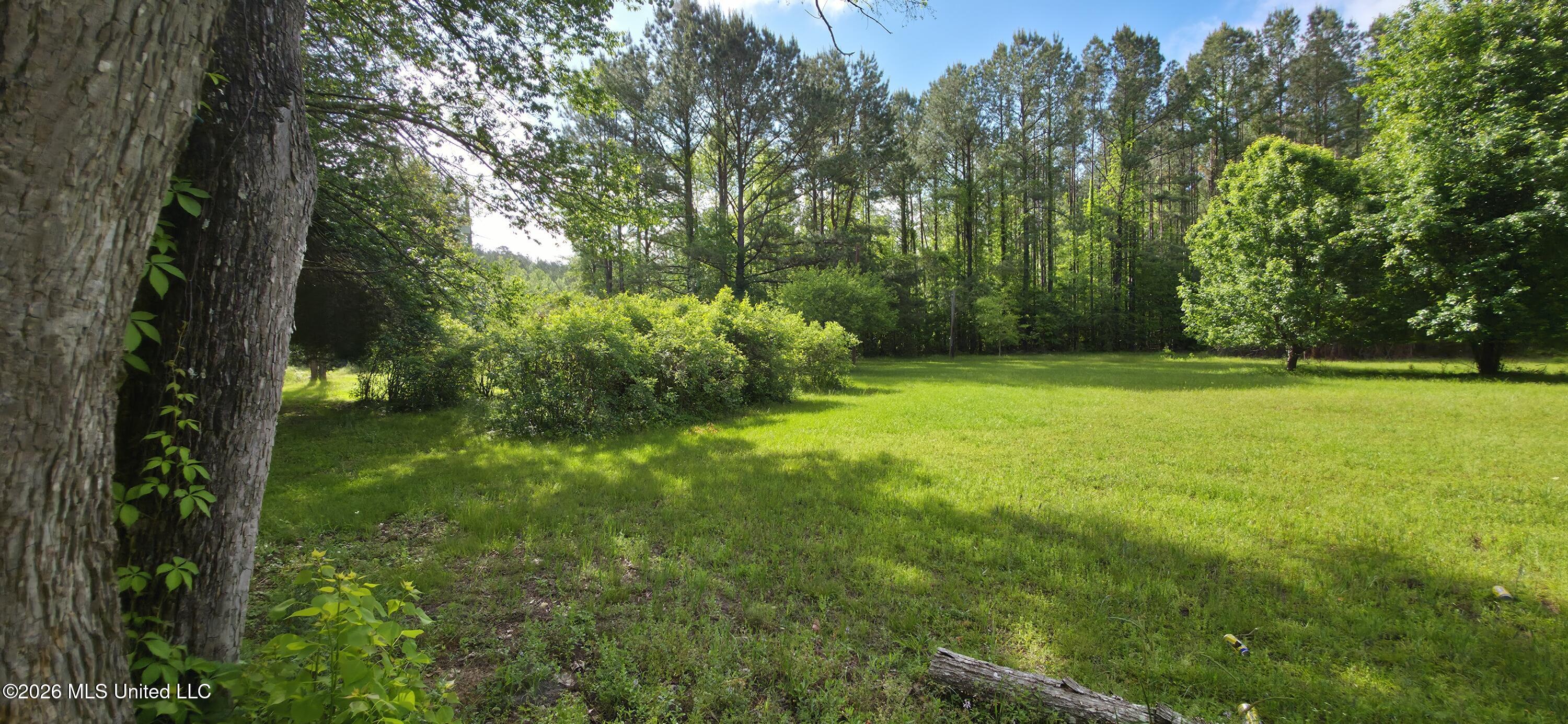 2014 Coldwater Church Road Meadville, MS 39653 - Photo 6 of 23 20260414_093611