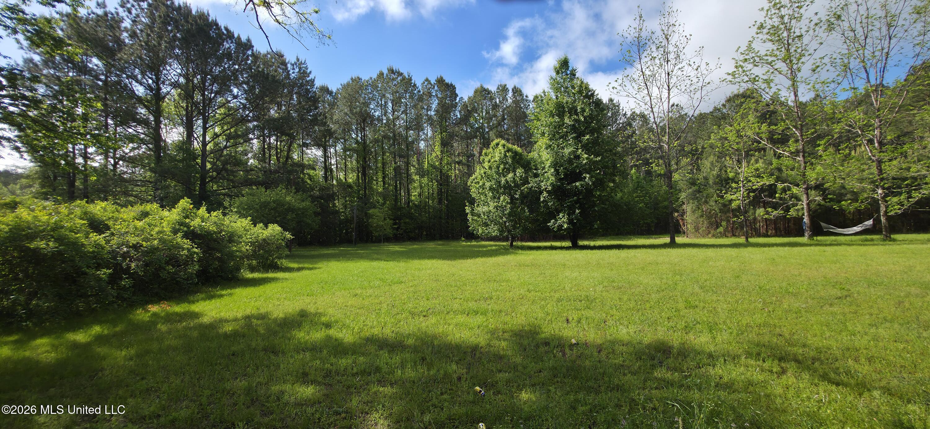 2014 Coldwater Church Road Meadville, MS 39653 - Photo 7 of 23 20260414_093614