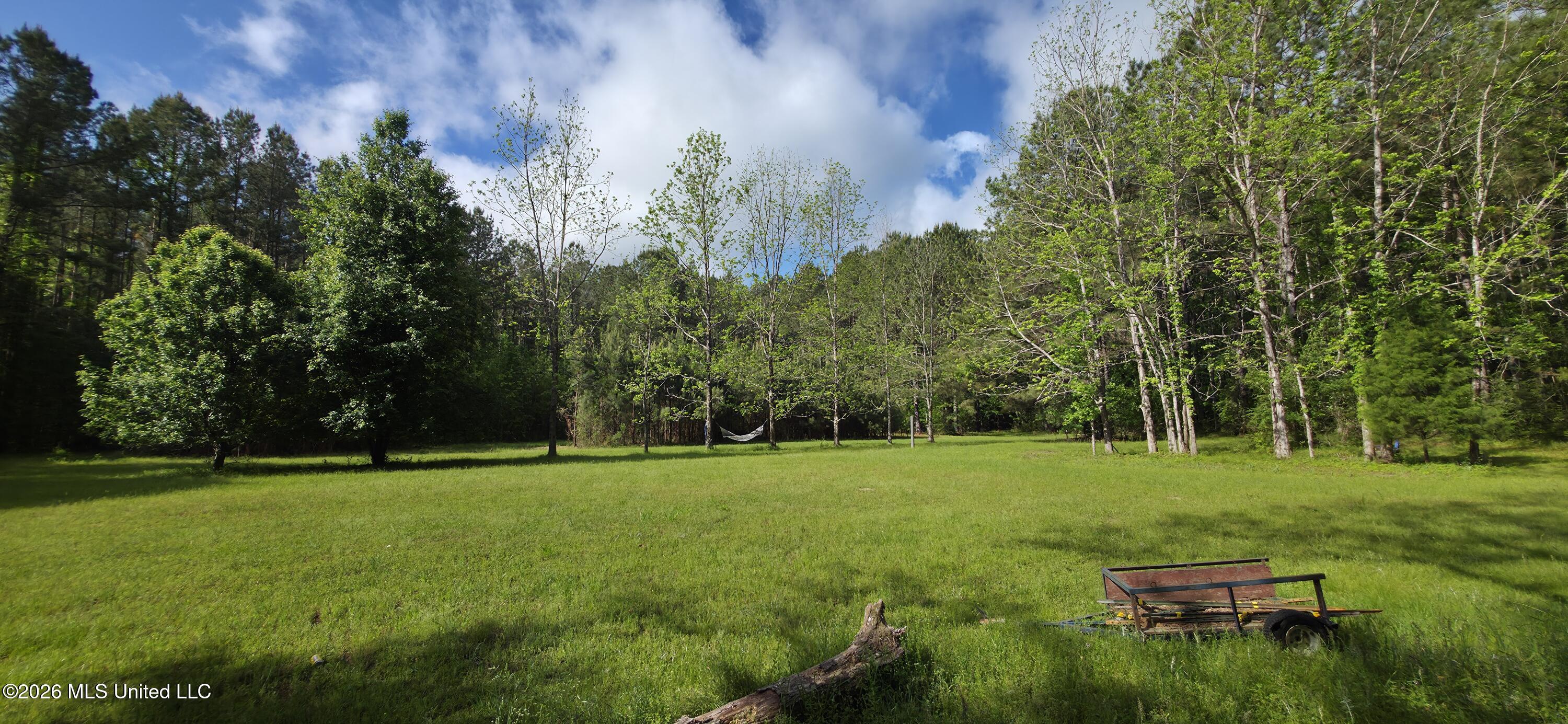 2014 Coldwater Church Road Meadville, MS 39653 - Photo 8 of 23 20260414_093618