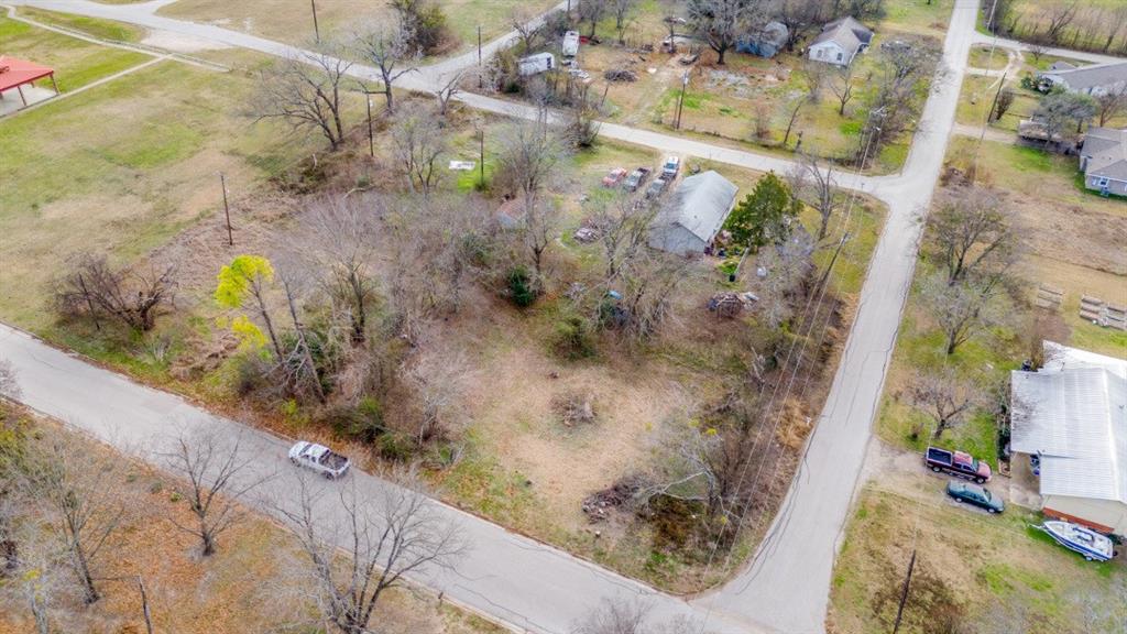 208 West 9th Street Kemp, TX 75143 - Photo 6 of 13 a view of a plant in a garden
