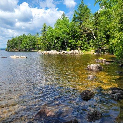 T4 Wadleigh Pond Road Millinocket, ME 04462 - Photo 7 of 38 Shoreline and beech
