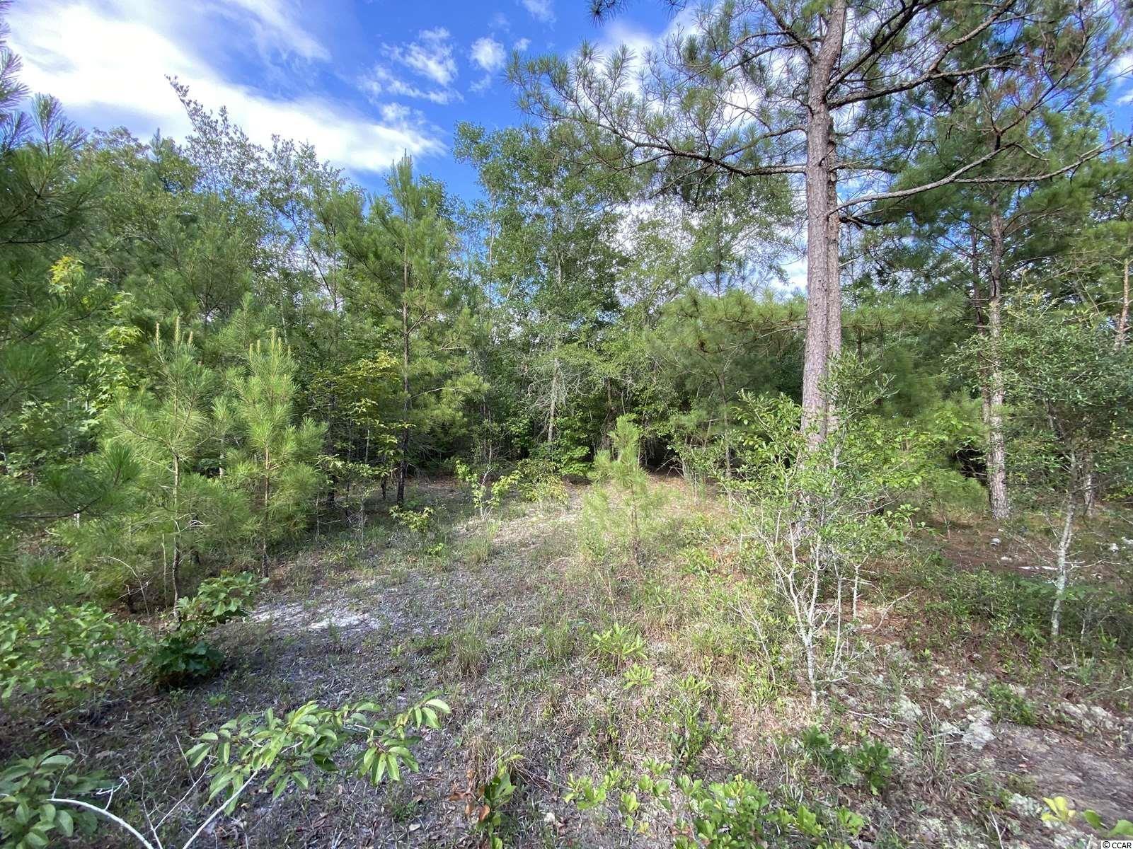Tbd Bottle Branch Road Conway, SC 29527 - Photo 3 of 8 Gallery Image 3