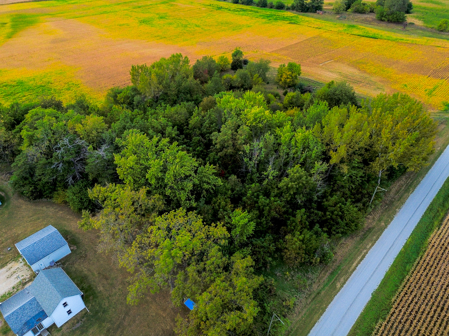 733 Eakle Road Harmon, IL 61042 - Photo 3 of 42 Gallery Image 3