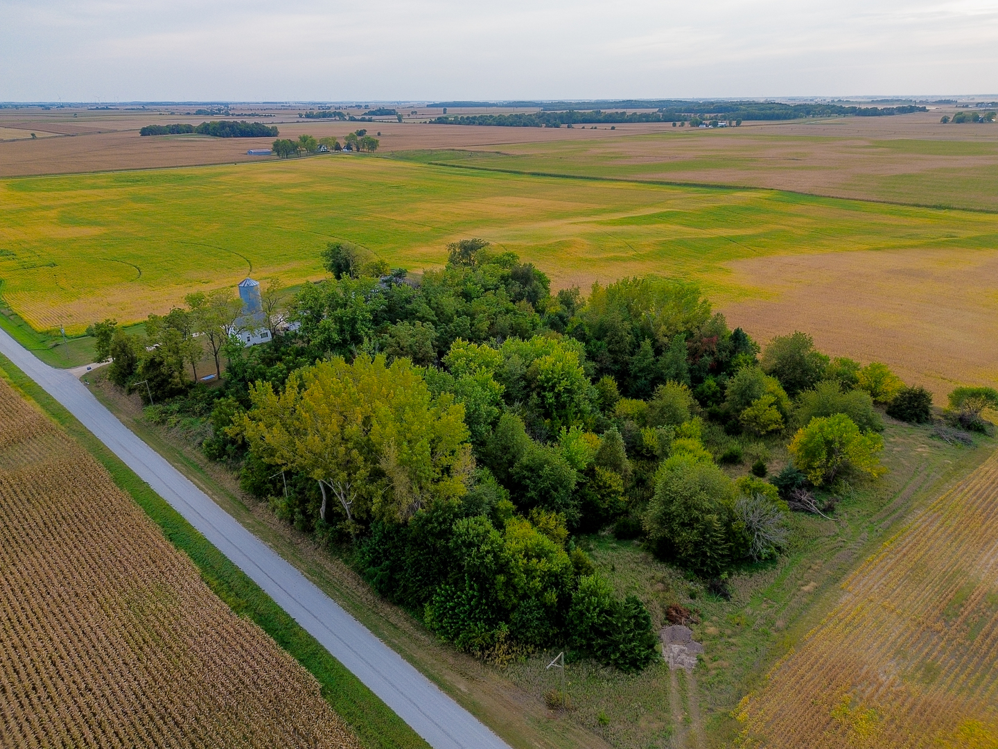 733 Eakle Road Harmon, IL 61042 - Photo 5 of 42 Gallery Image 5