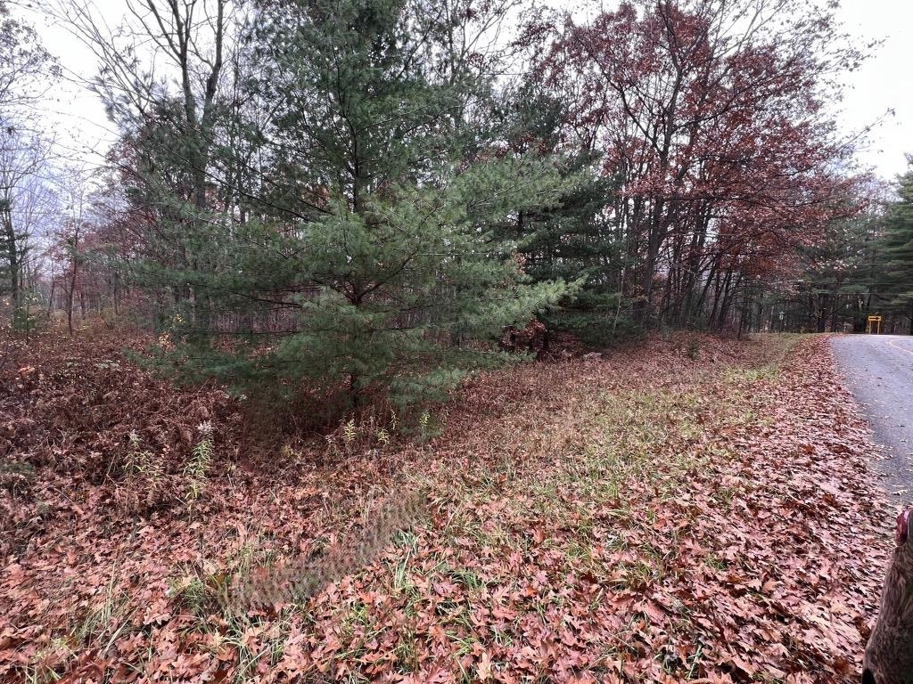 3790 Jones Road Beaverton, MI 48612 - Photo 3 of 5