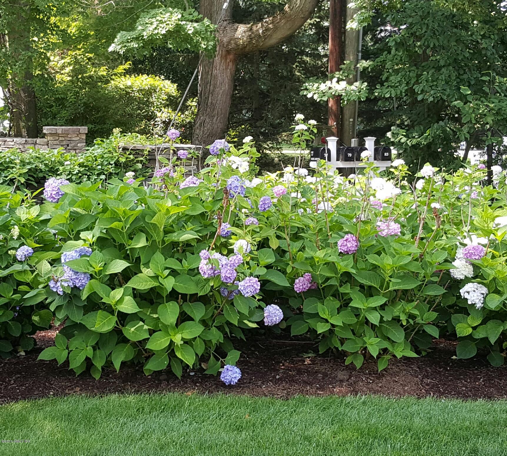 77 Maple Avenue Greenwich, CT 06830 - Photo 3 of 33 739