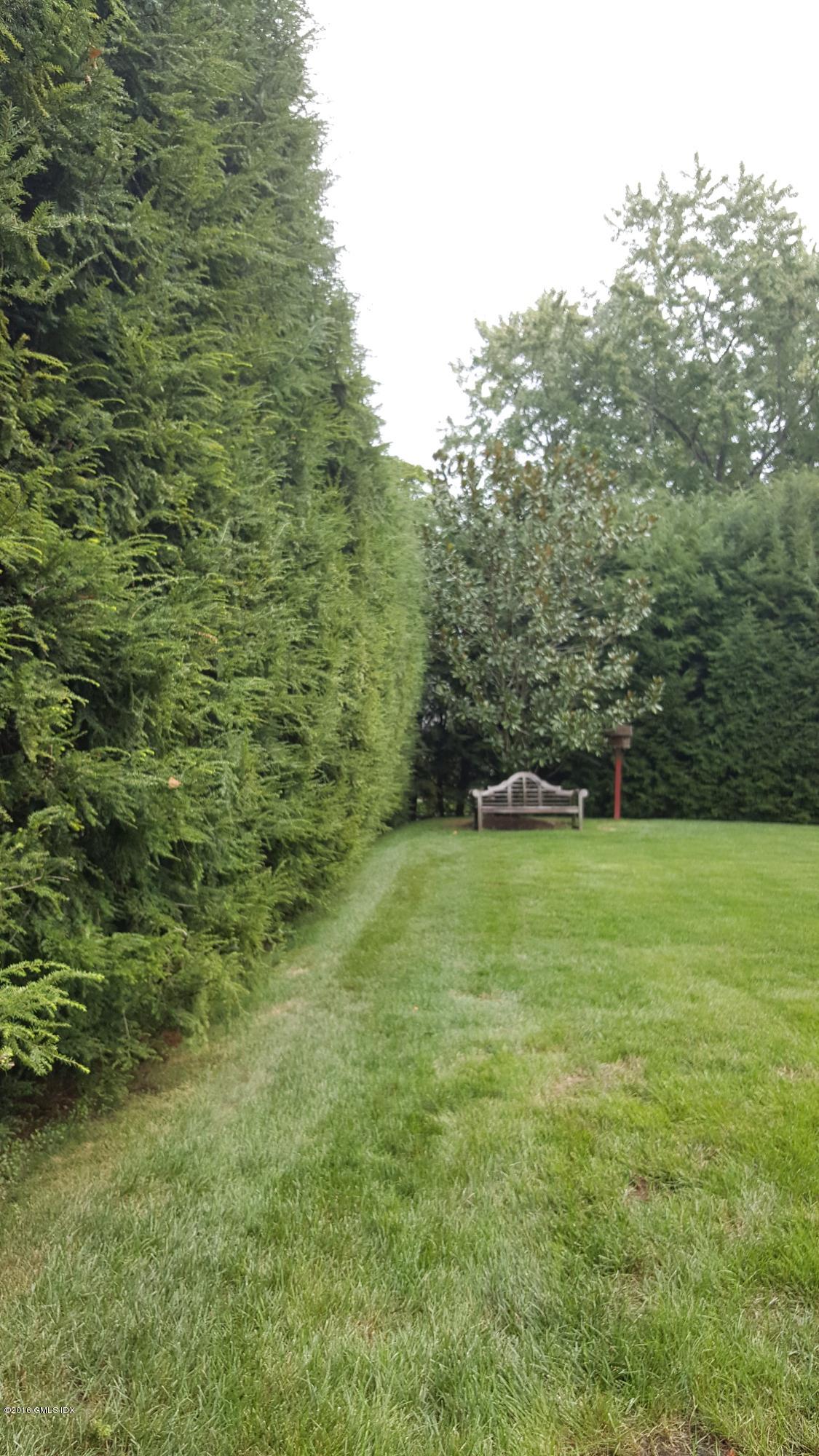 77 Maple Avenue Greenwich, CT 06830 - Photo 33 of 33 hemlock hedge for privacy