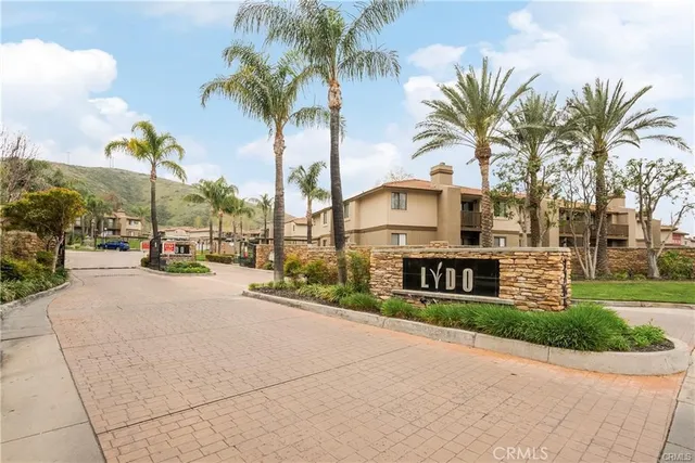 a view of a street with palm trees