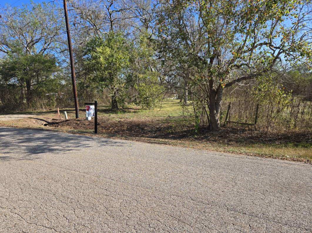624 Pittman Road Richmond, TX 77469 - Photo 3 of 4 a view of a backyard with large trees