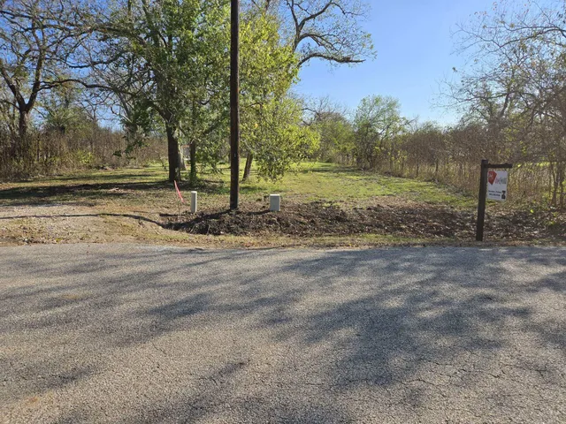 a view of a yard with tree s