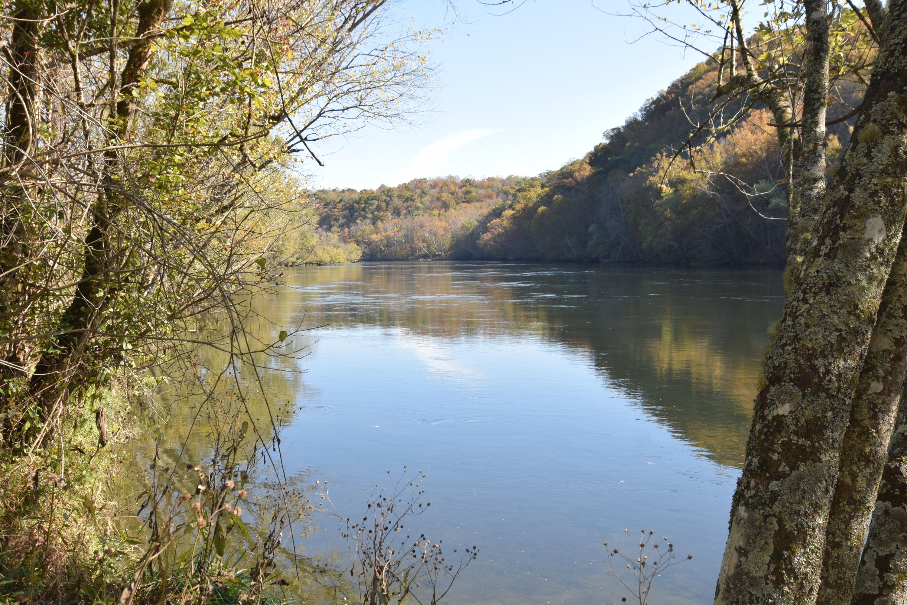 Moser Lane Clinton, TN 37716 - Photo 2 of 22 DSC_0863