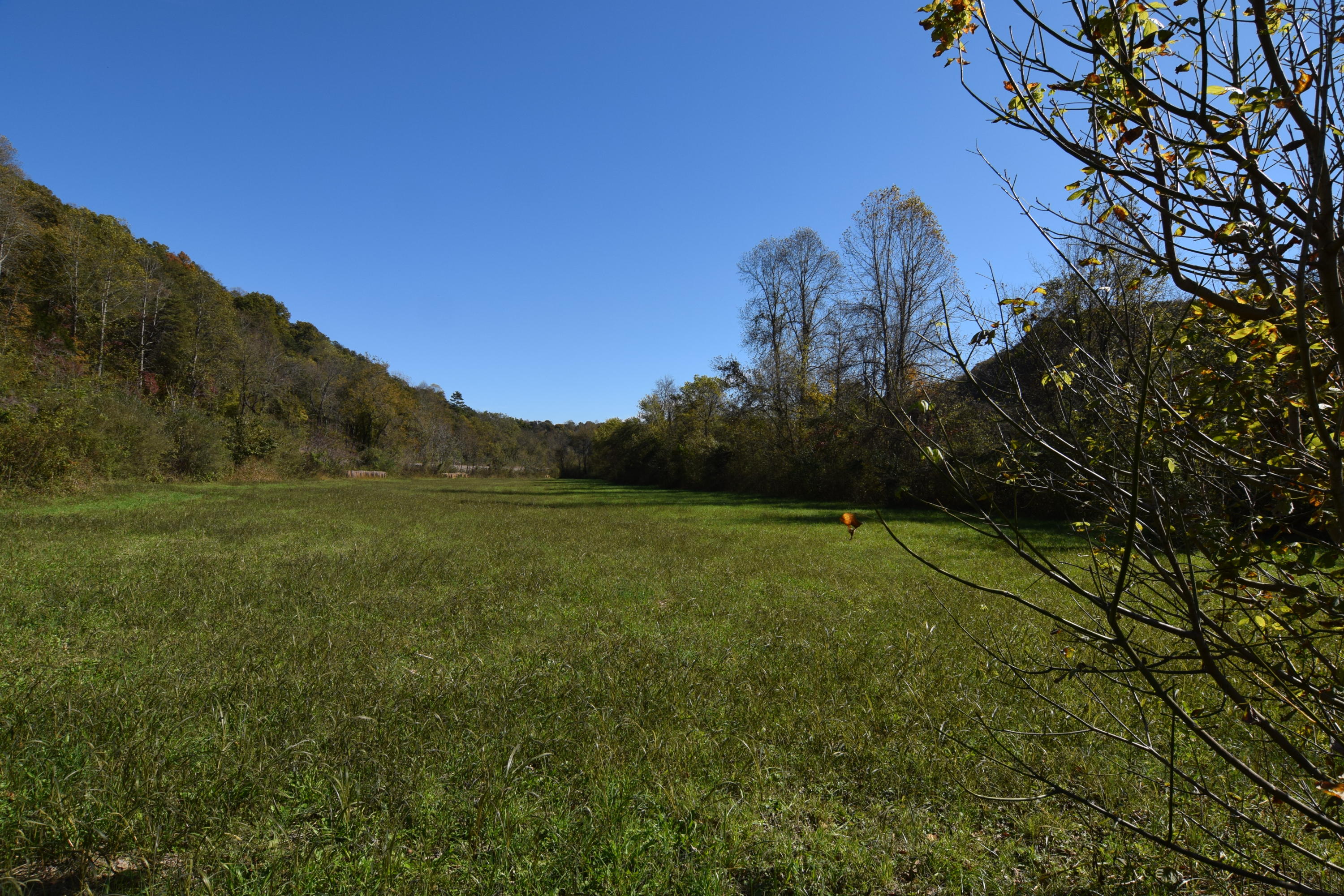Moser Lane Clinton, TN 37716 - Photo 11 of 22 DSC_0852