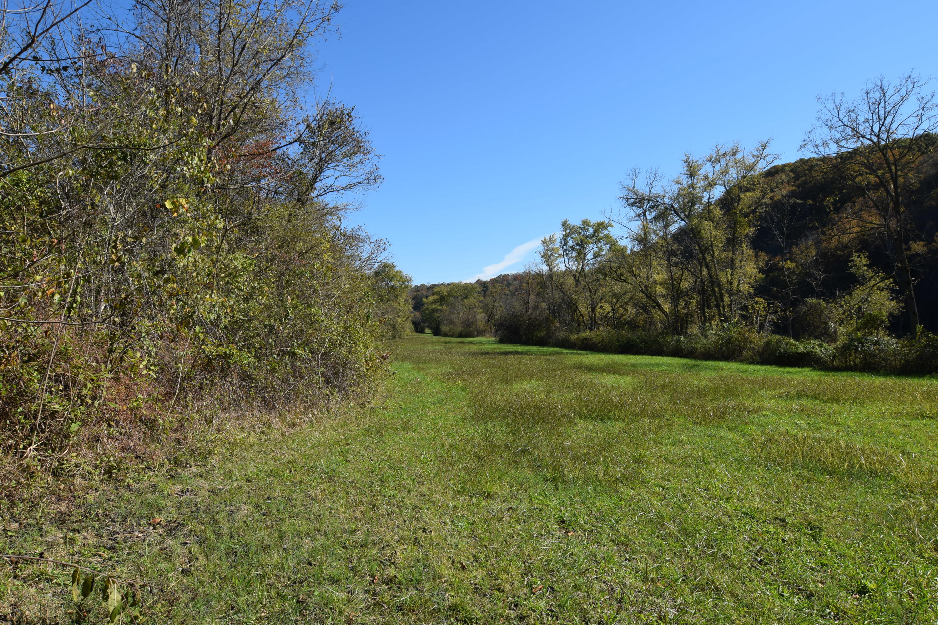 Moser Lane Clinton, TN 37716 - Photo 13 of 22 DSC_0856