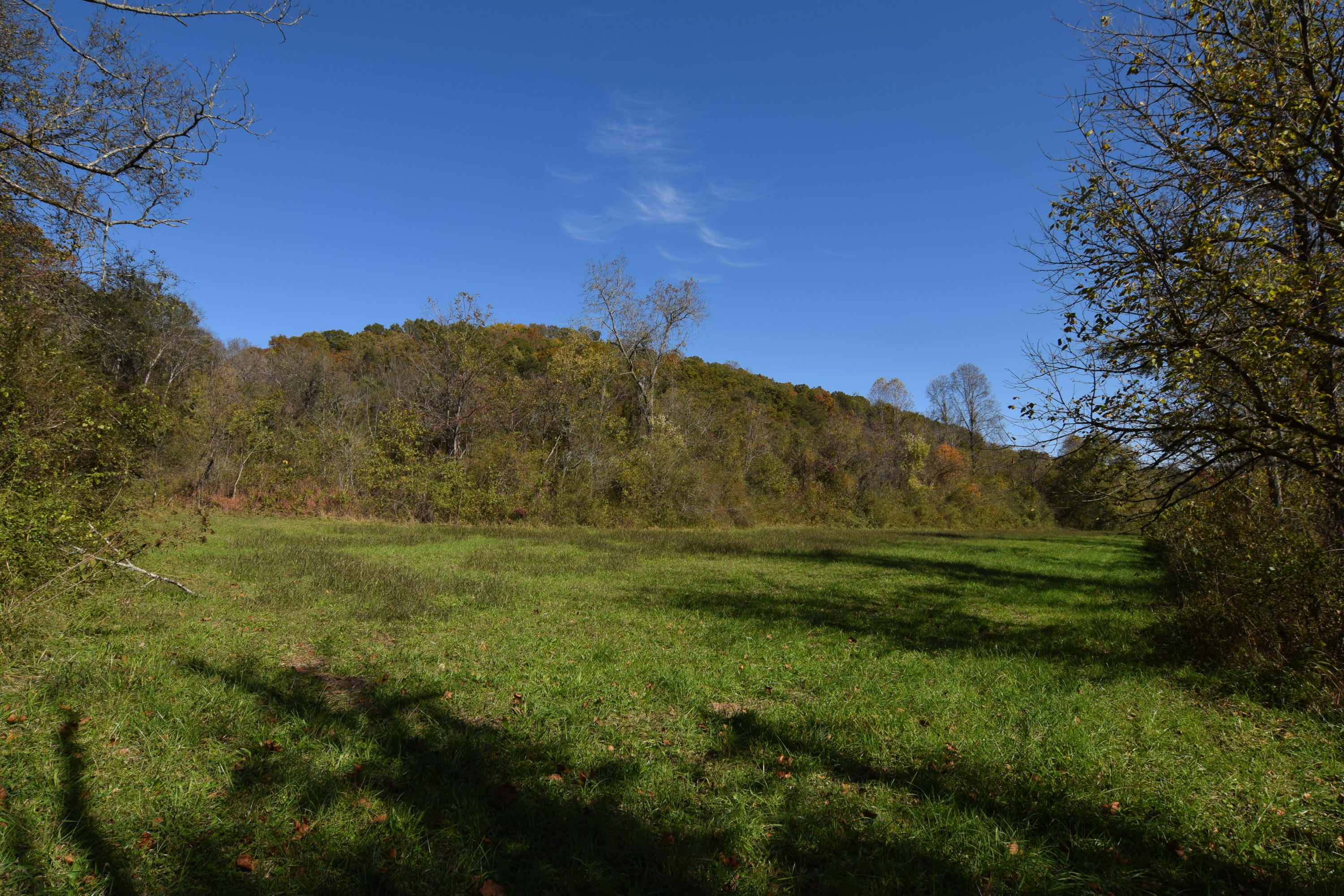 Moser Lane Clinton, TN 37716 - Photo 14 of 22 DSC_0858