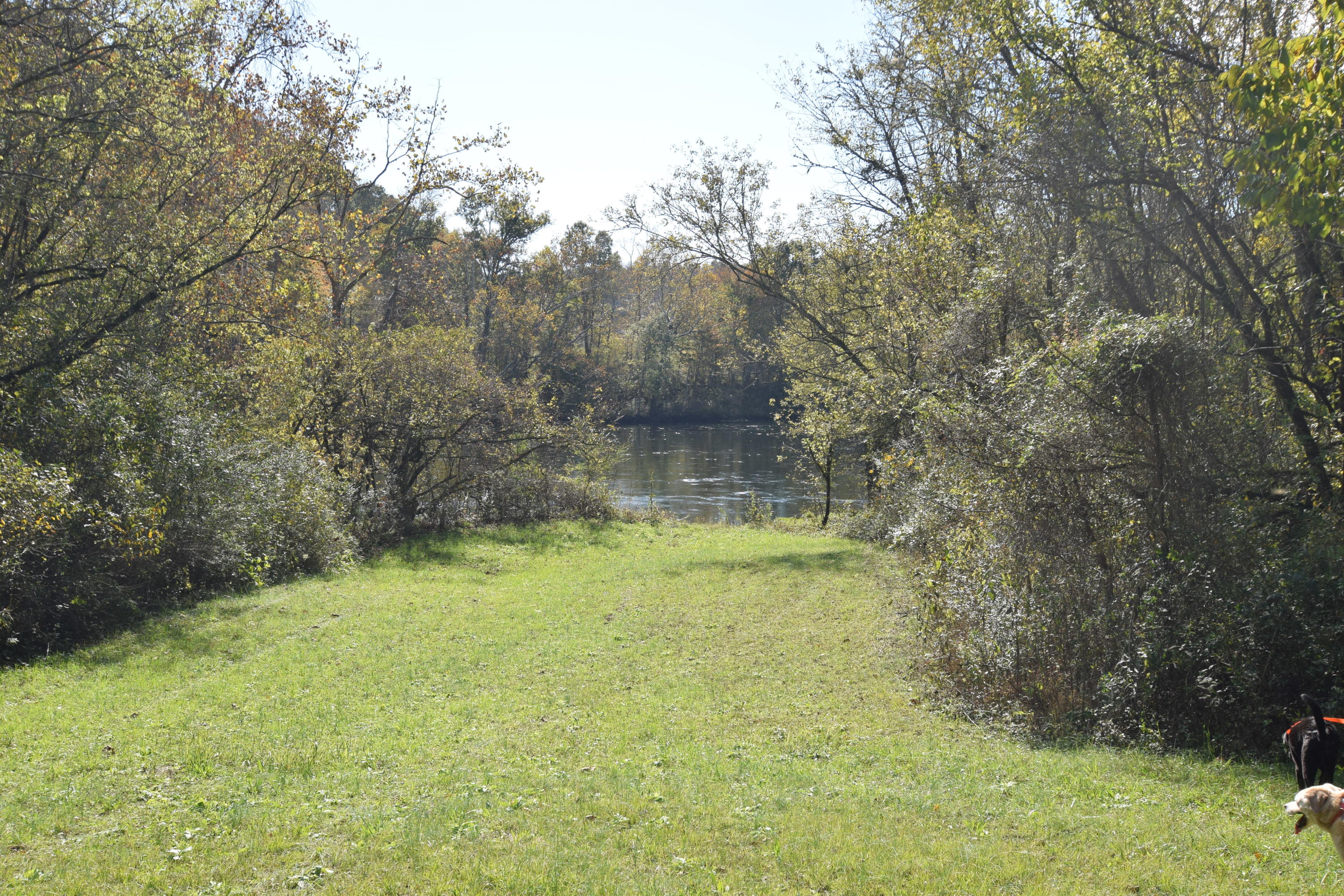 Moser Lane Clinton, TN 37716 - Photo 20 of 22 DSC_0888