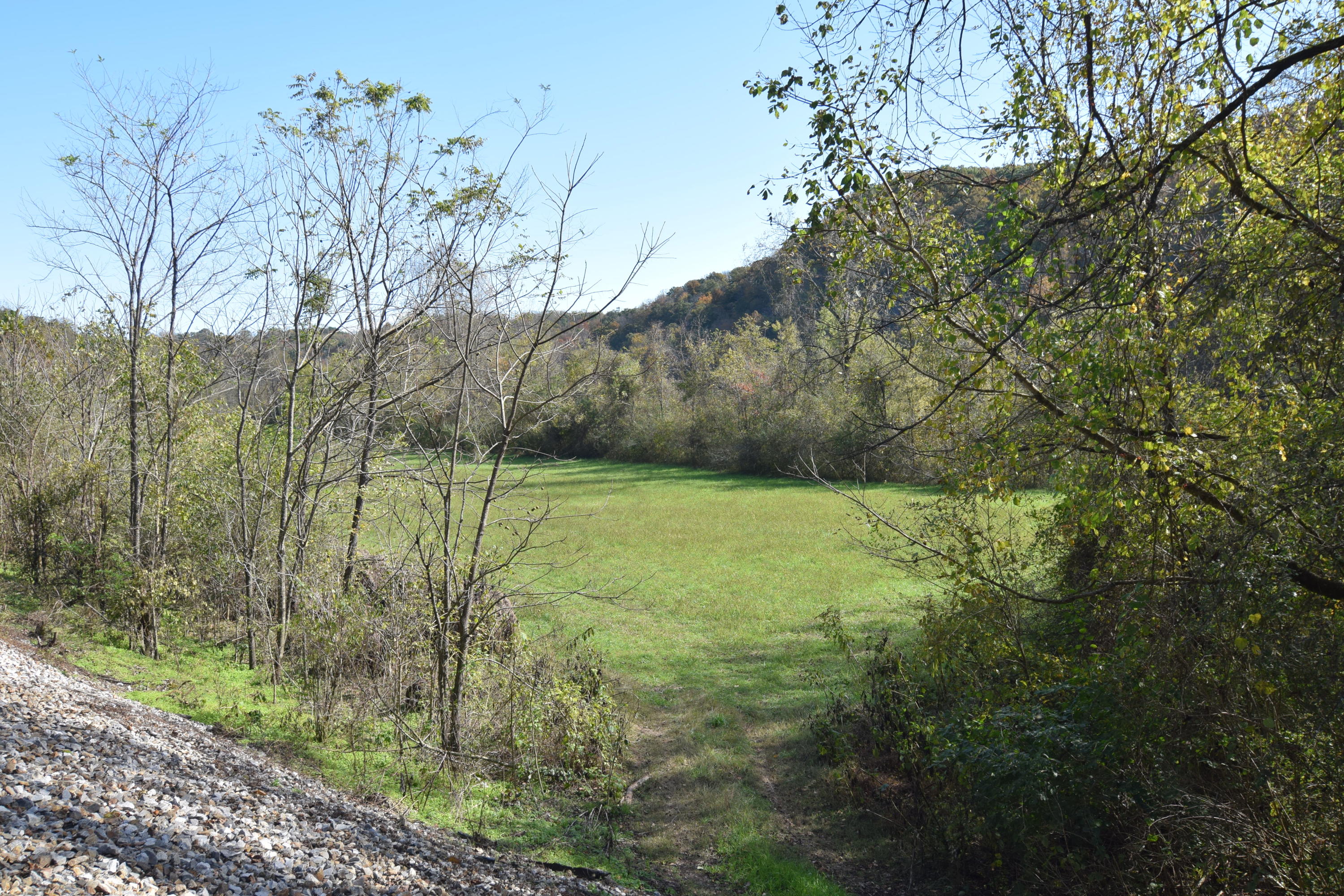 Moser Lane Clinton, TN 37716 - Photo 3 of 22 DSC_0895