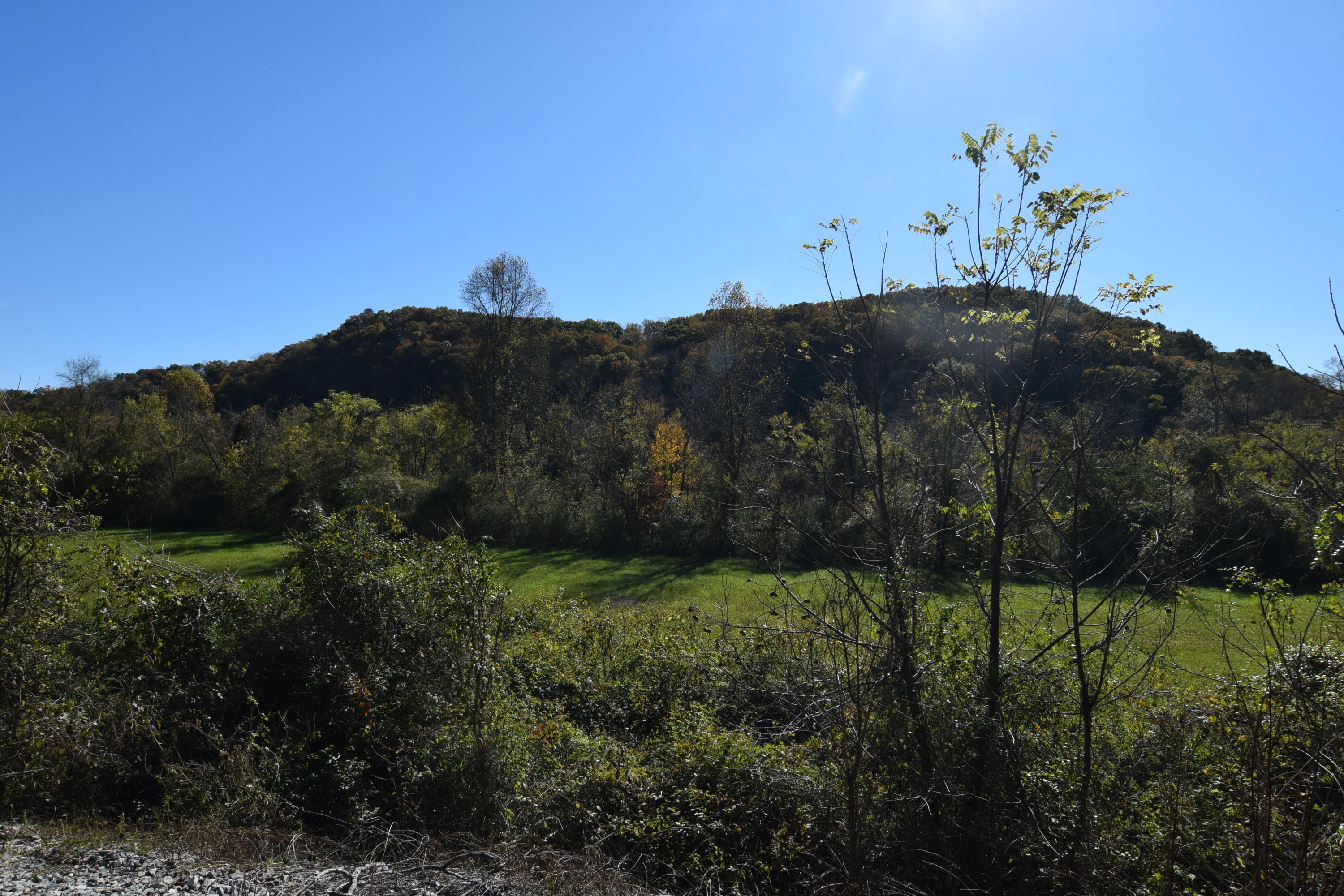 Moser Lane Clinton, TN 37716 - Photo 8 of 22 DSC_0847