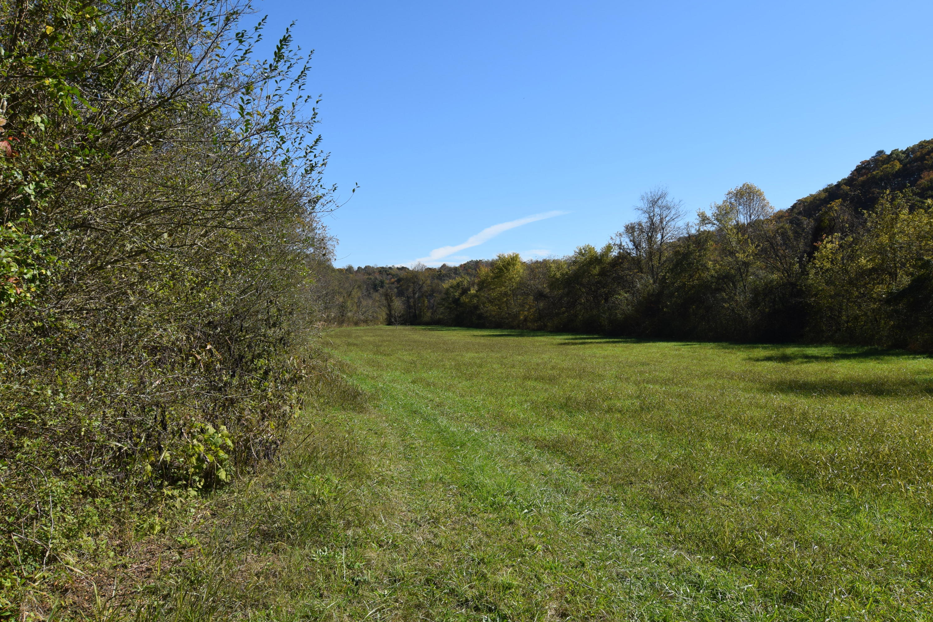 Moser Lane Clinton, TN 37716 - Photo 9 of 22 DSC_0849