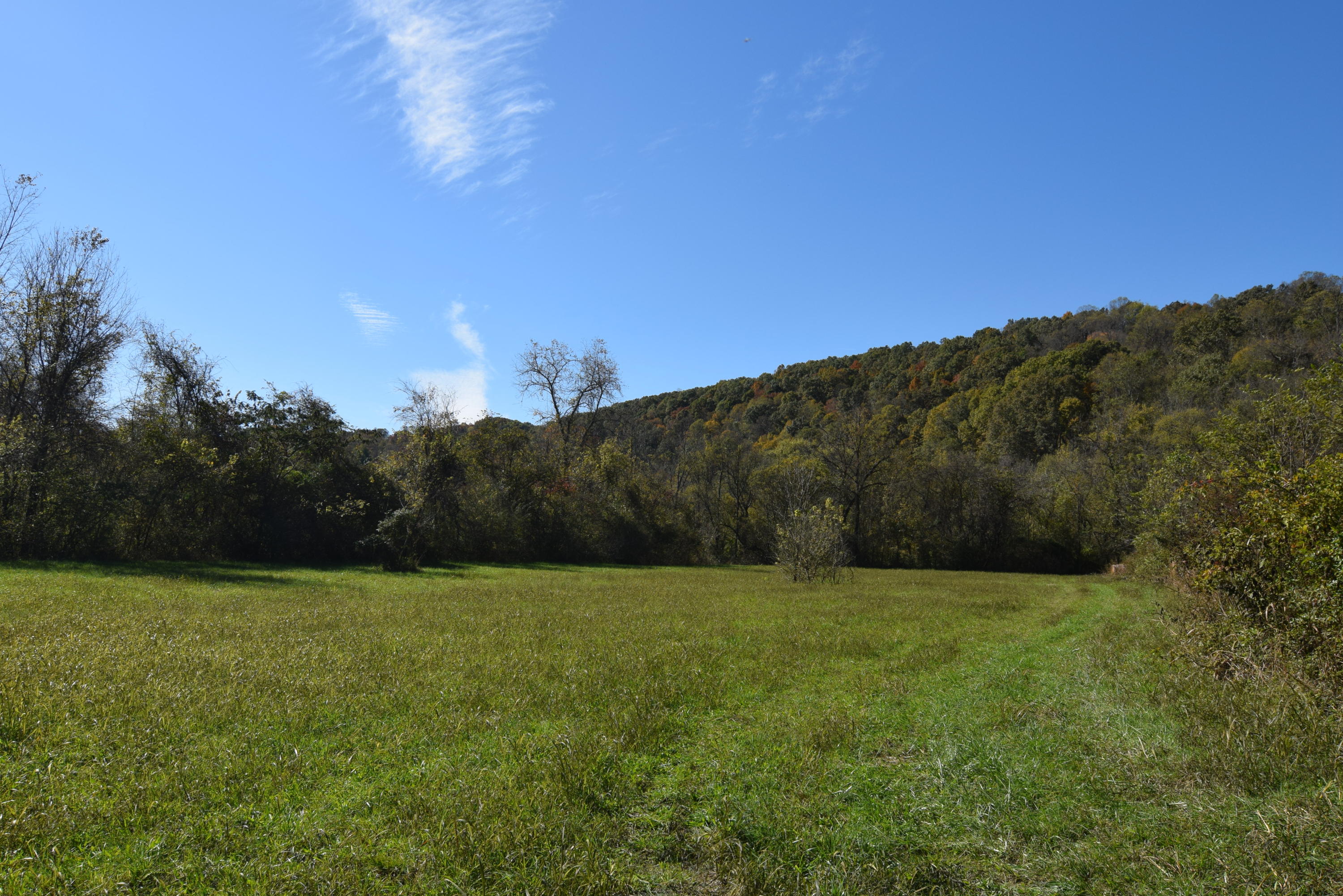 Moser Lane Clinton, TN 37716 - Photo 10 of 22 DSC_0850