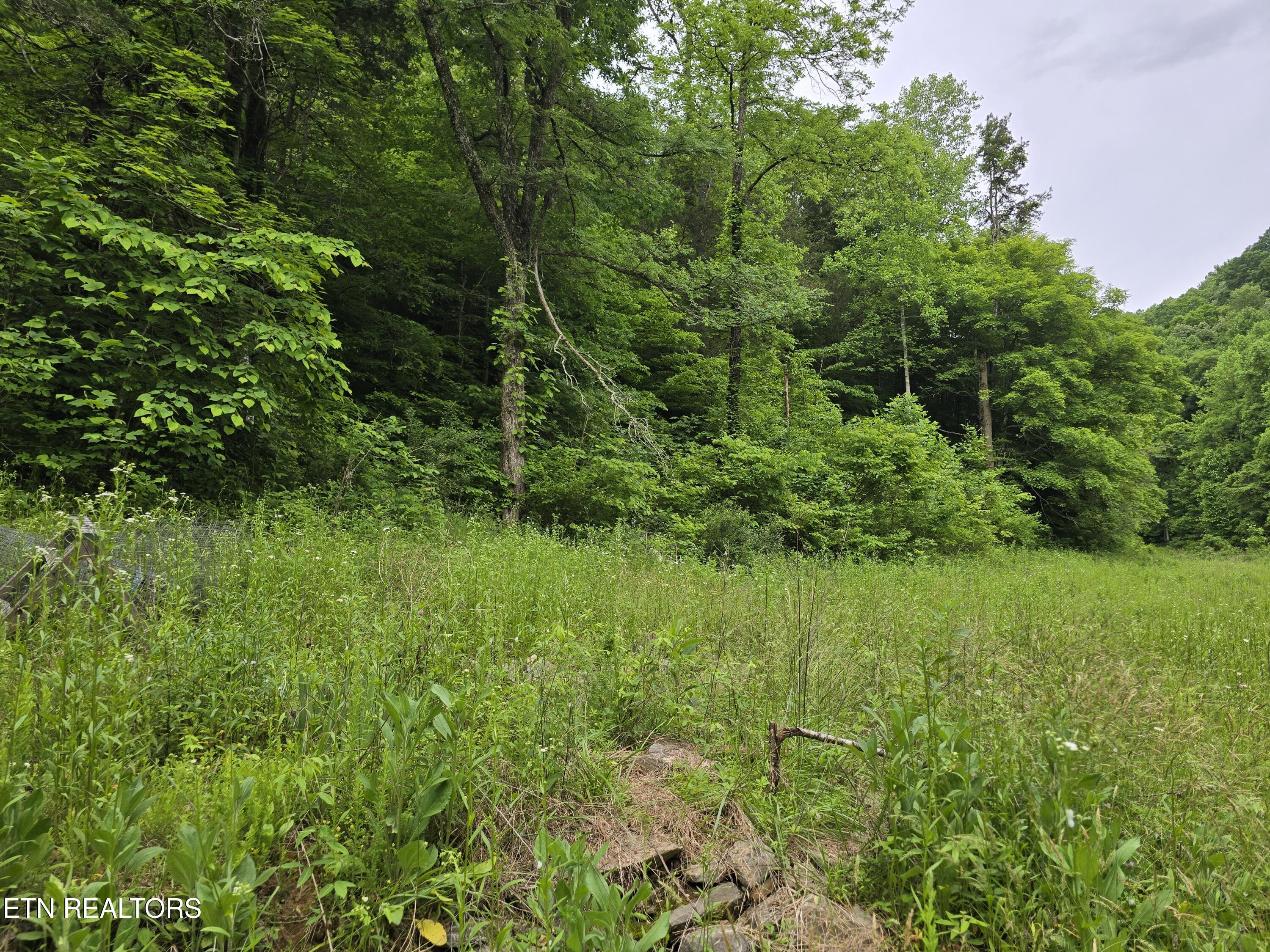 2615 Stoney Fork Road Sneedville, TN 37869 - Photo 45 of 60 20260525_193101