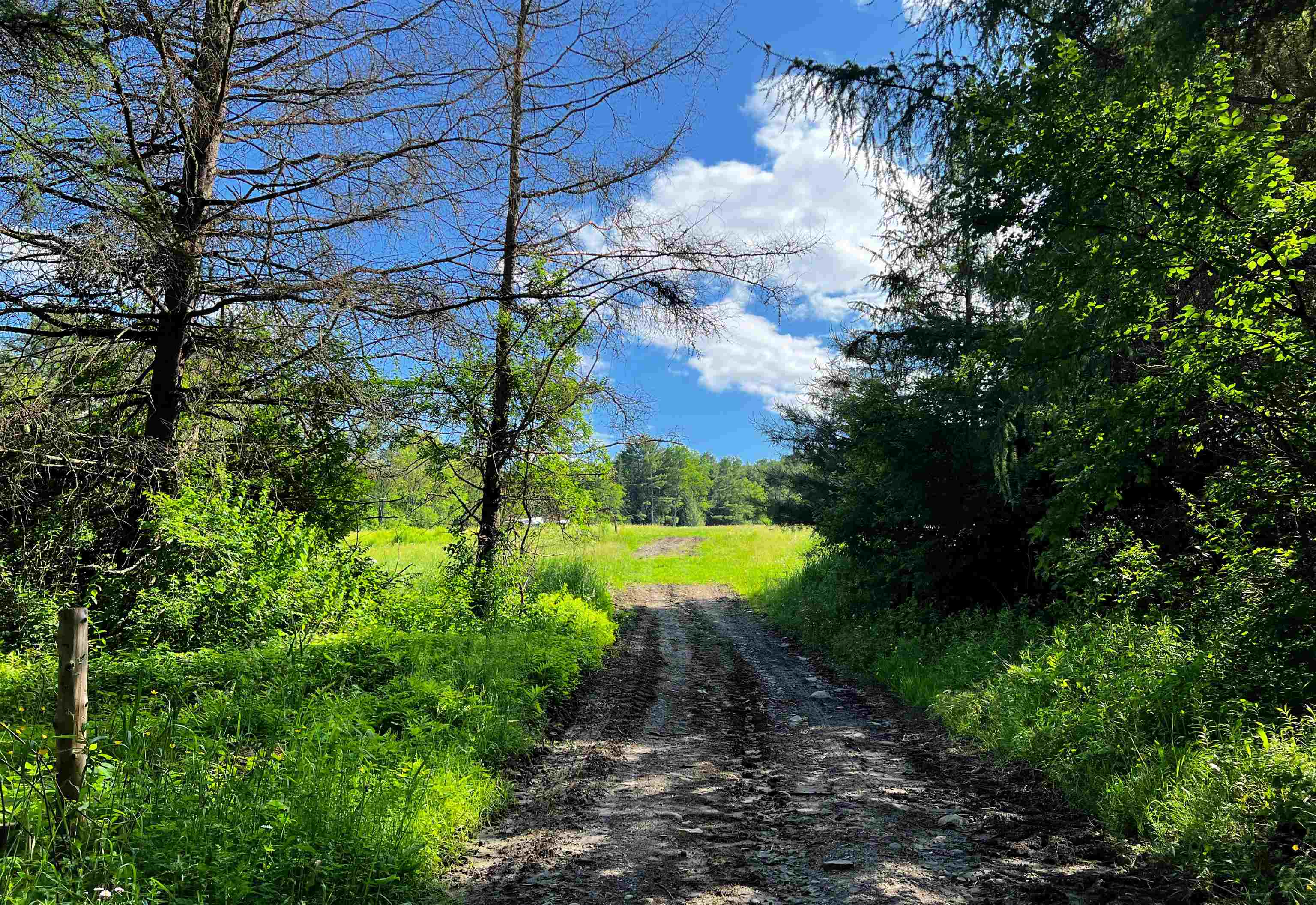 0 Little France Road Barnet, VT 05821 - Photo 3 of 8