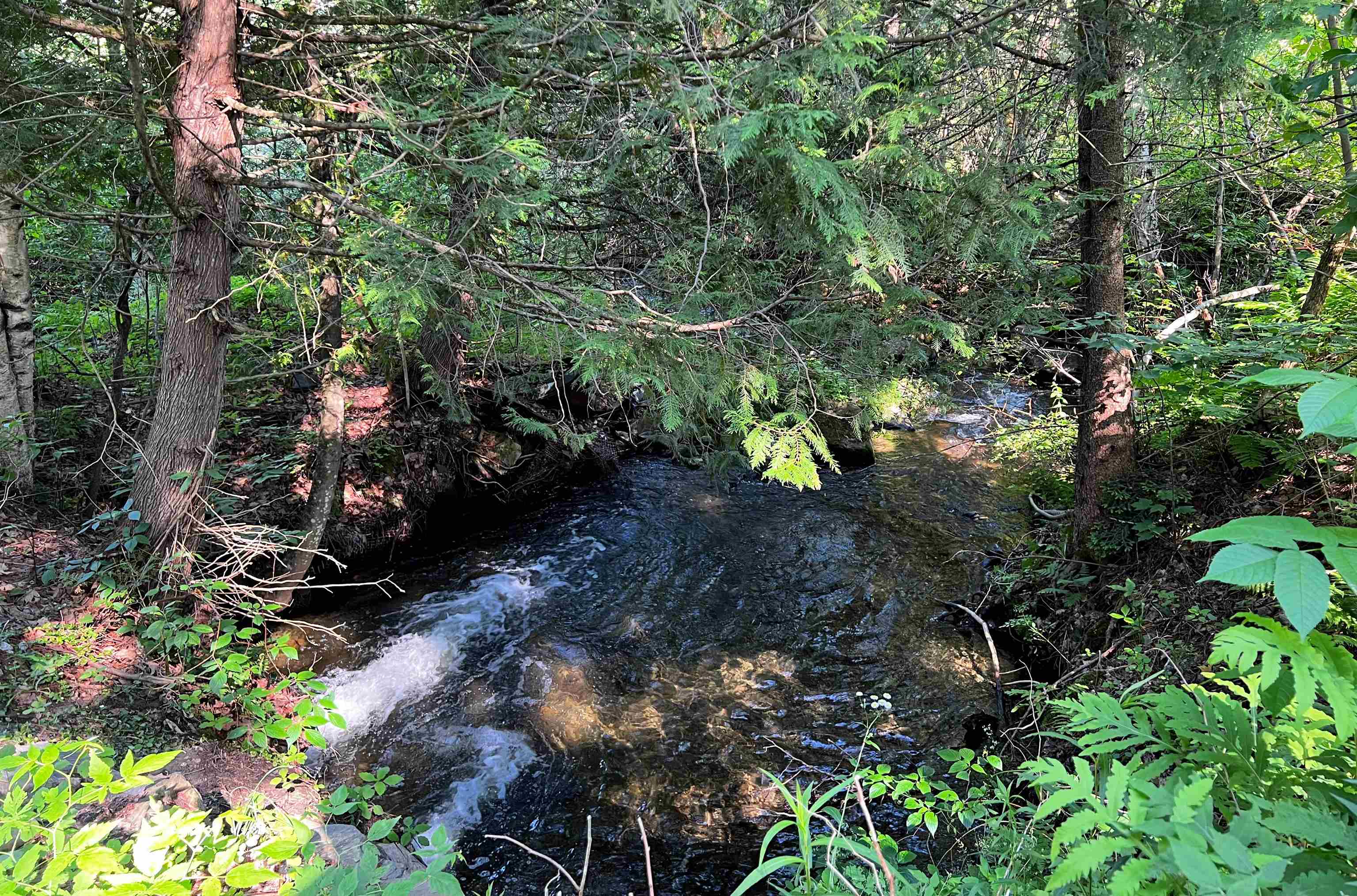 0 Little France Road Barnet, VT 05821 - Photo 4 of 8