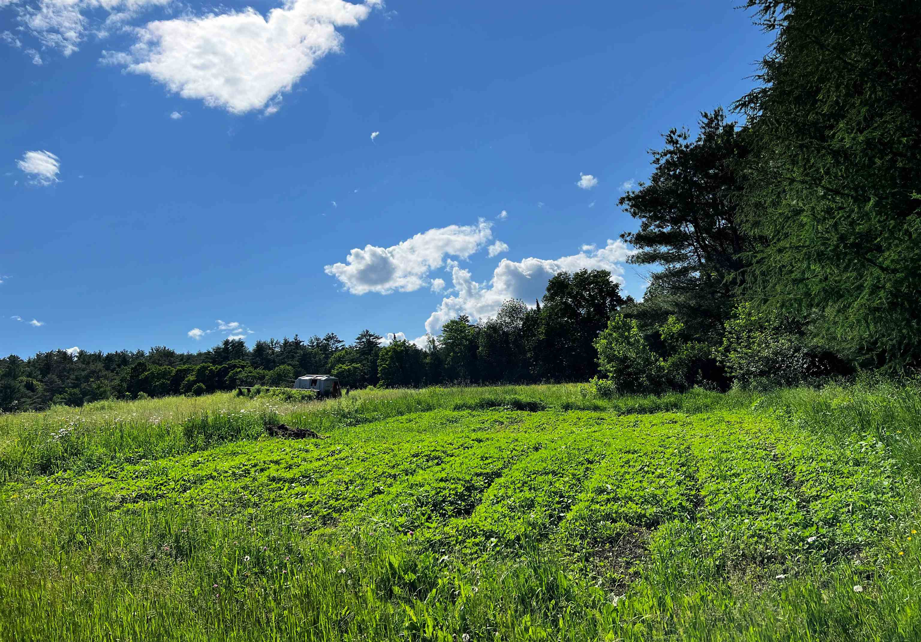 0 Little France Road Barnet, VT 05821 - Photo 6 of 8