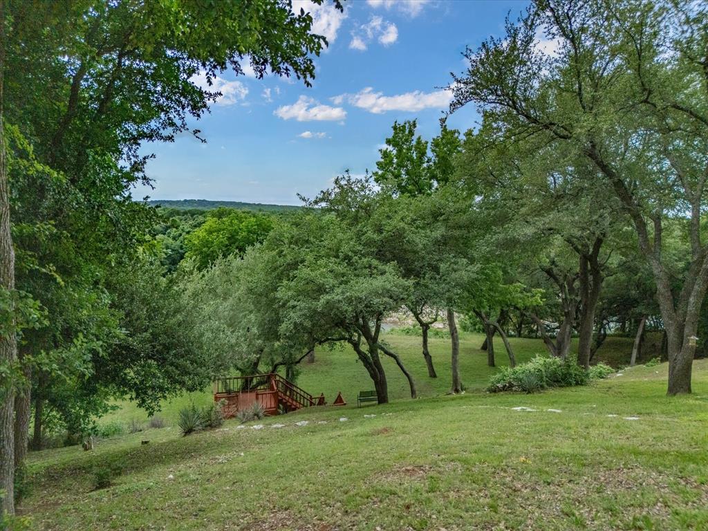 10106 Ravenswood Road Granbury, TX 76049 - Photo 25 of 39 a view of a tree in a yard