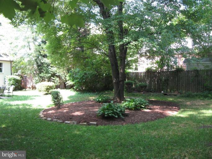 815 Forest Glen Road Silver Spring, MD 20901 - Photo 14 of 15 Exterior #2